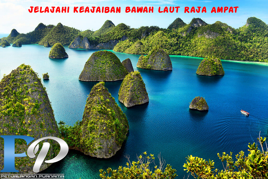 Jelajahi Keajaiban Bawah Laut Raja Ampat